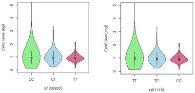 Association Between CST3 Gene Polymorphisms and Large-Artery Atherosclerotic Stroke